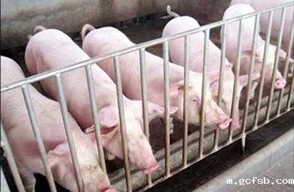 养猪场空气过滤系统